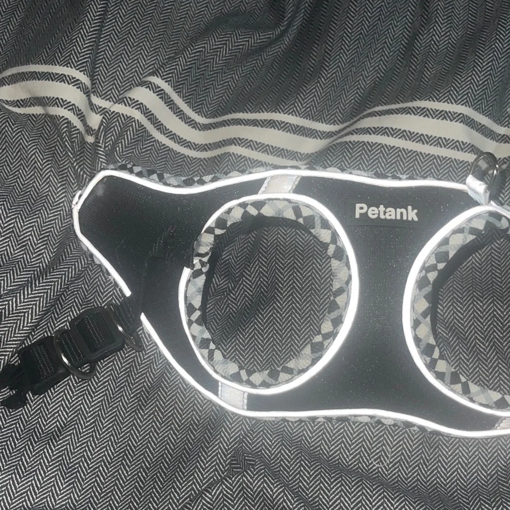 Chic Black and White Cat Harness and Leash Set